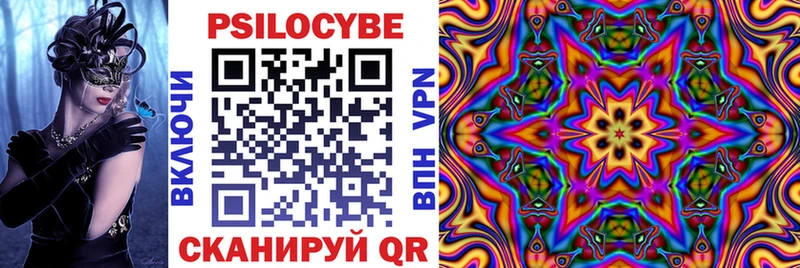 цены наркотик  Кизляр  Псилоцибиновые грибы прущие грибы 